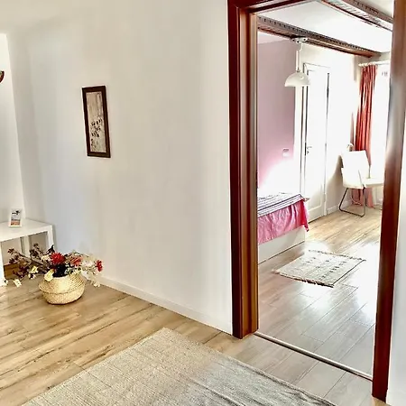 Monica * Bran (Brasov)