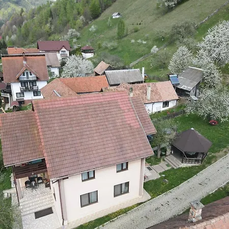 Monica Bran (Brasov)