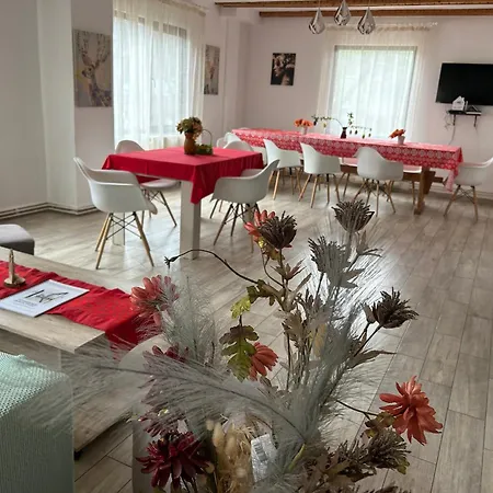 Holiday home Monica Bran (Brasov)